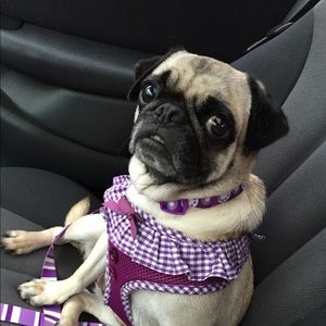 Meet your Posher, Kim